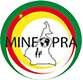 Ministère de la Fonction Publique et de la Réforme Administrative (MINFOPRA) Ministère de la Fonction Publique et de la Réforme Administrative (MINFOPRA)